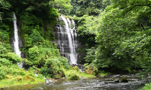 美しい富士の湧水は自然から人へのおすそわけ